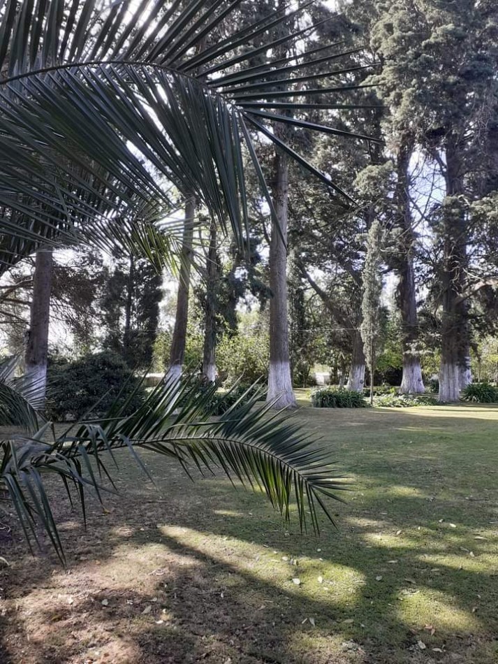 VENTA CASA QUINTA .2 HECTAREAS. COYUNCO.MAR DEL PLATA
