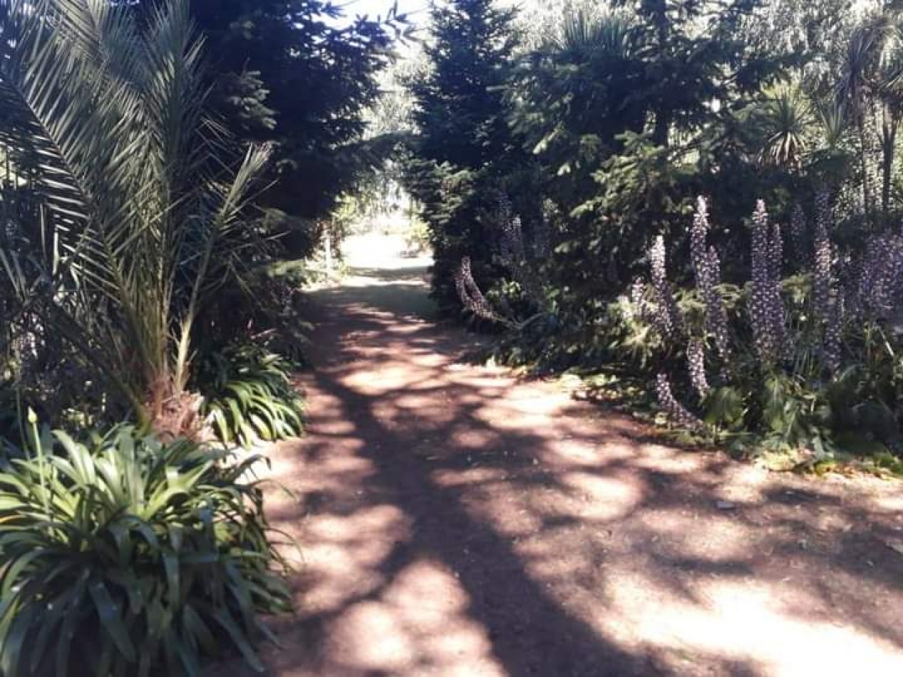 VENTA CASA QUINTA .2 HECTAREAS. COYUNCO.MAR DEL PLATA