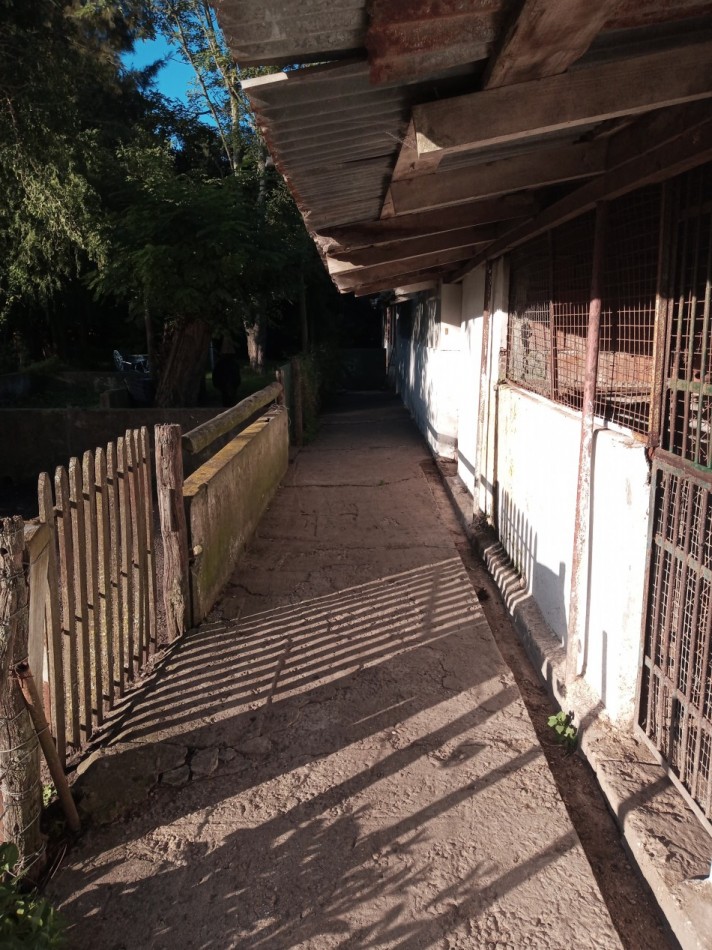 VENTA CASA QUINTA .2 HECTAREAS. COYUNCO.MAR DEL PLATA