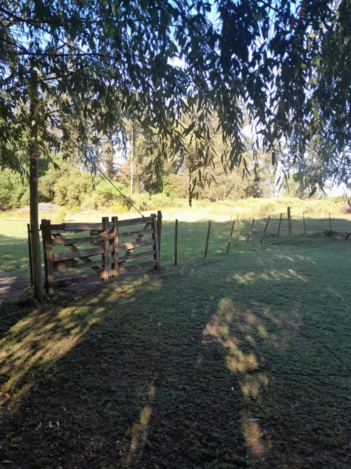 VENTA CASA QUINTA .2 HECTAREAS. COYUNCO.MAR DEL PLATA