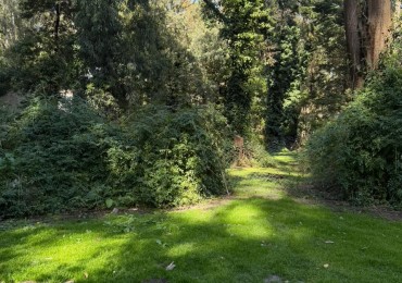 VENTA LOTE BOSQUE.P.RAMOS.MAZ.240.MAR DEL PLATA