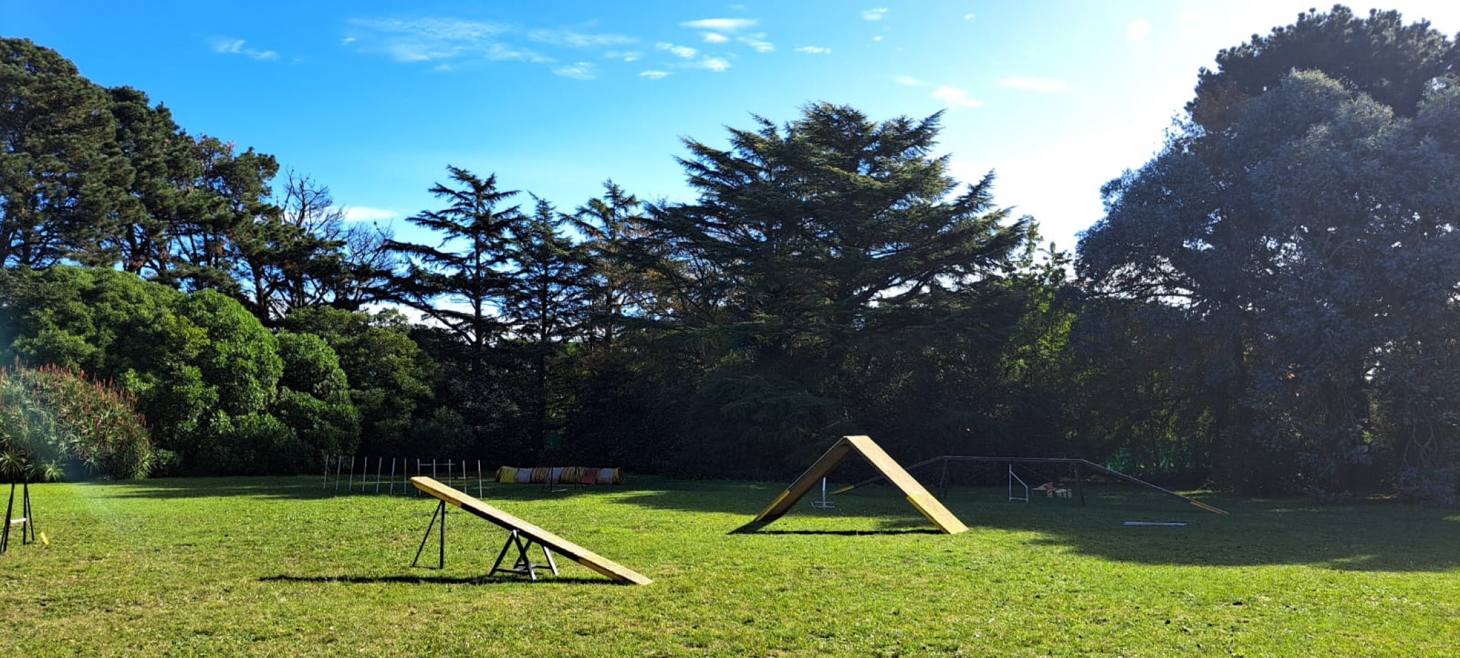 CASA QUINTA DE 6 AMBIENTES SOBRE UNA SUPERFICIE DE 1 HECTAREA DE PARQUE